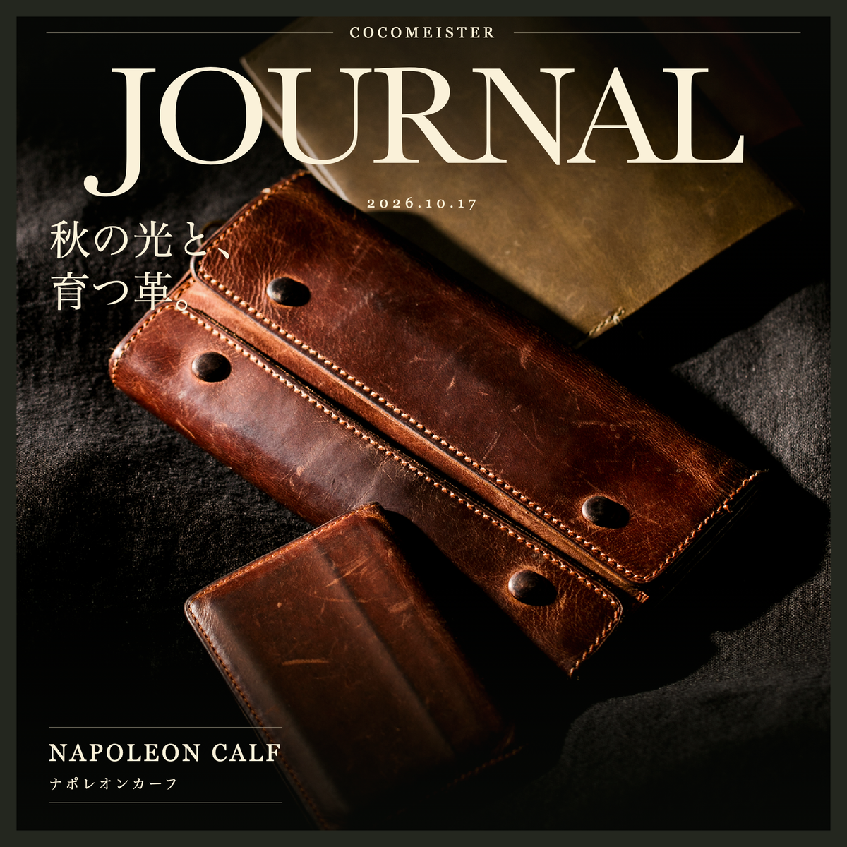 秋の光と、育つ革。