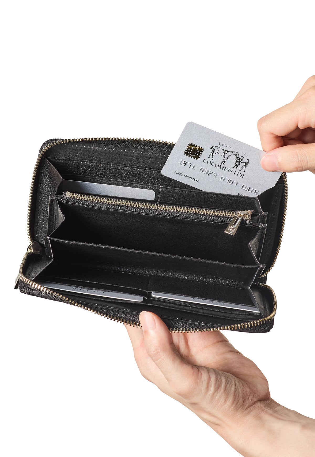 コードバンクラシック キングフィッシャー detail 2
