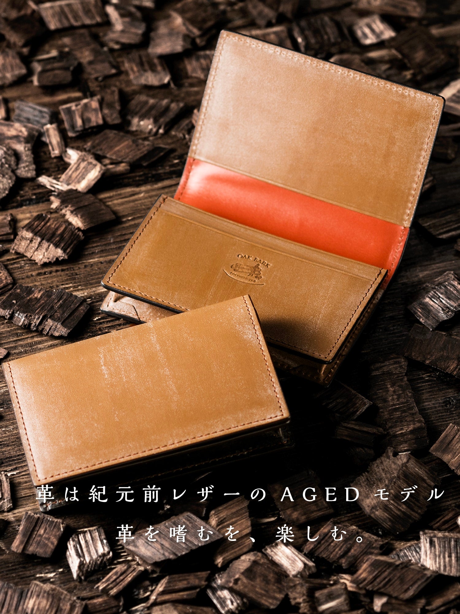 タイムスリップAGEDモデル