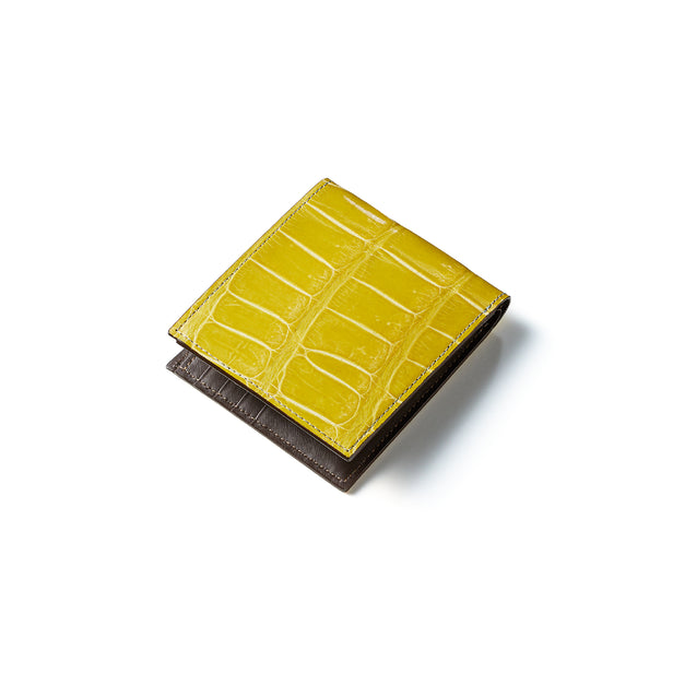 <p>モナコイエロー</p>