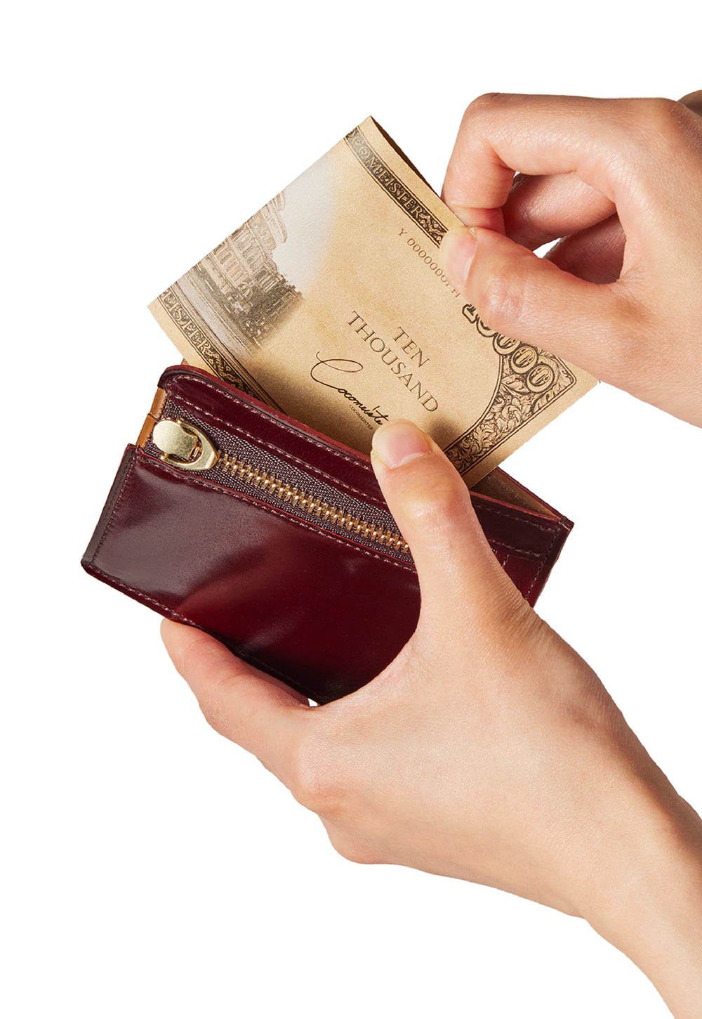 コードバンクルー サミュエル gallery 9