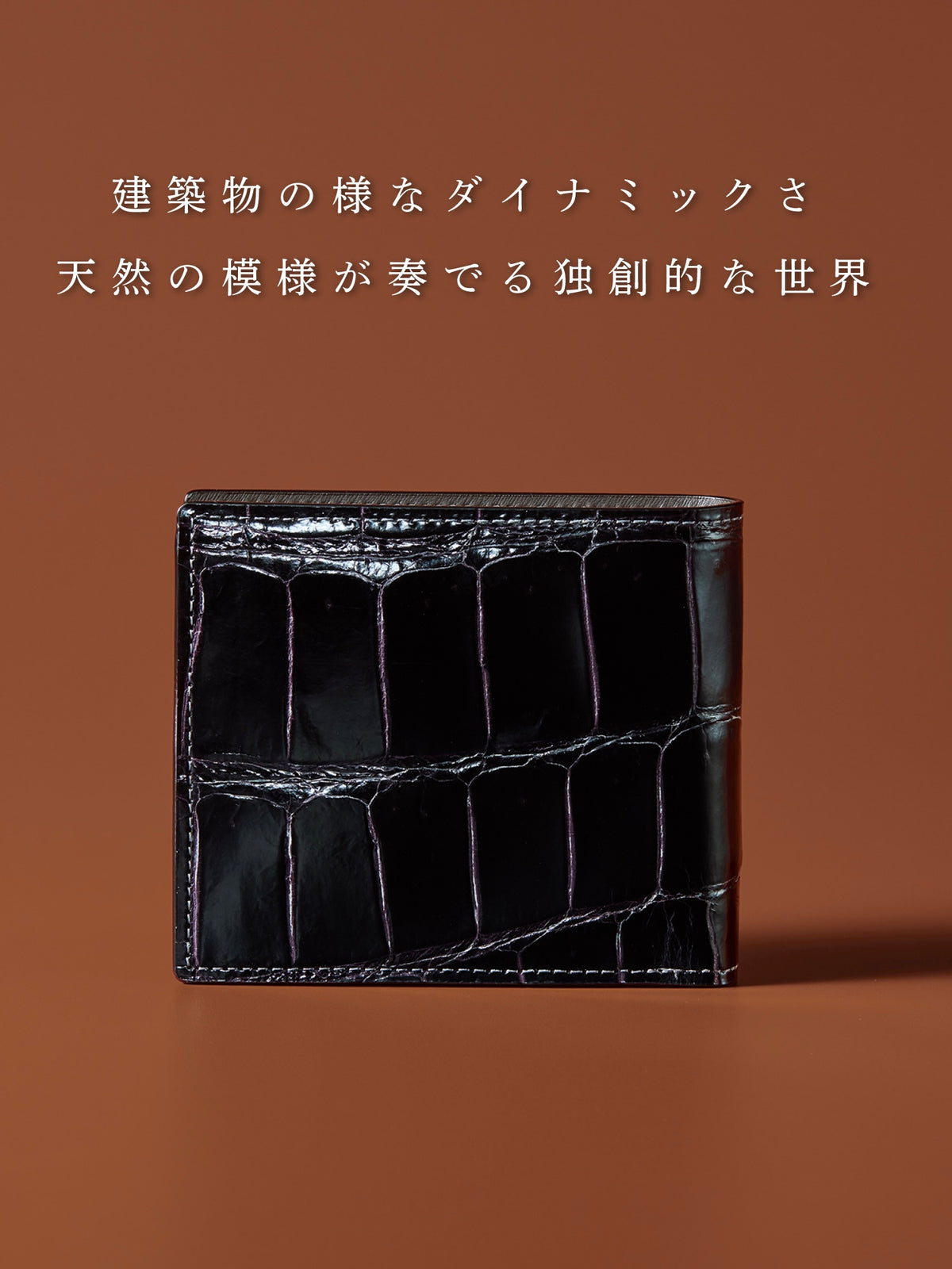 クロコダイル ポリメラス 01