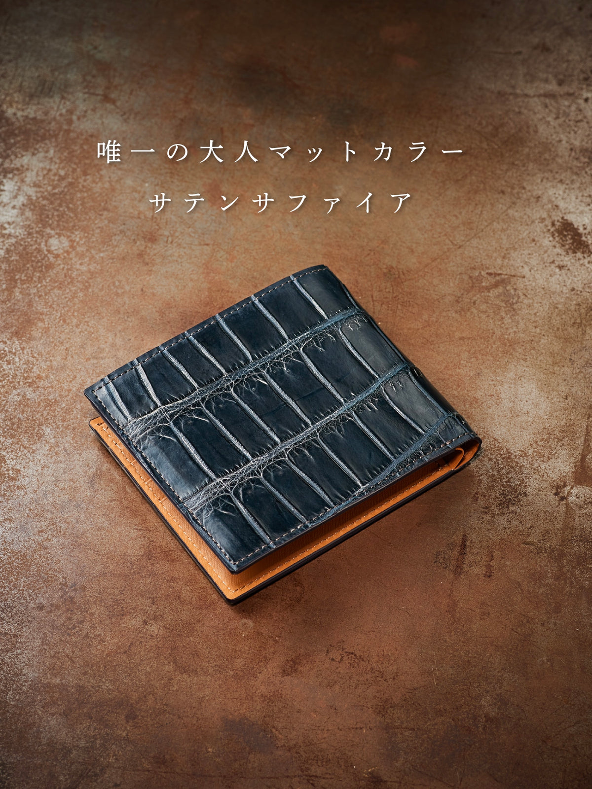 クロコダイル ポリメラス 08