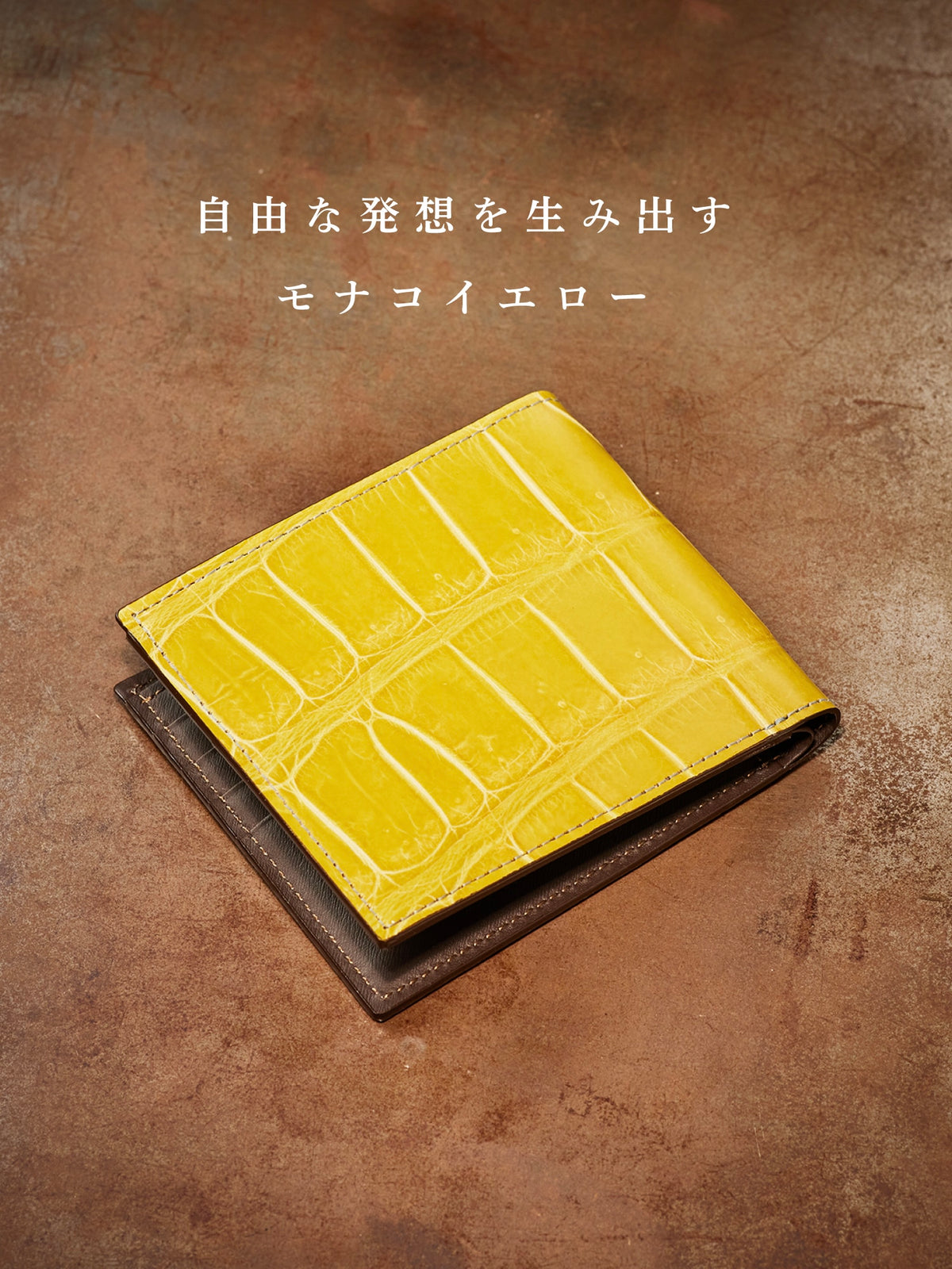 クロコダイル ポリメラス 09