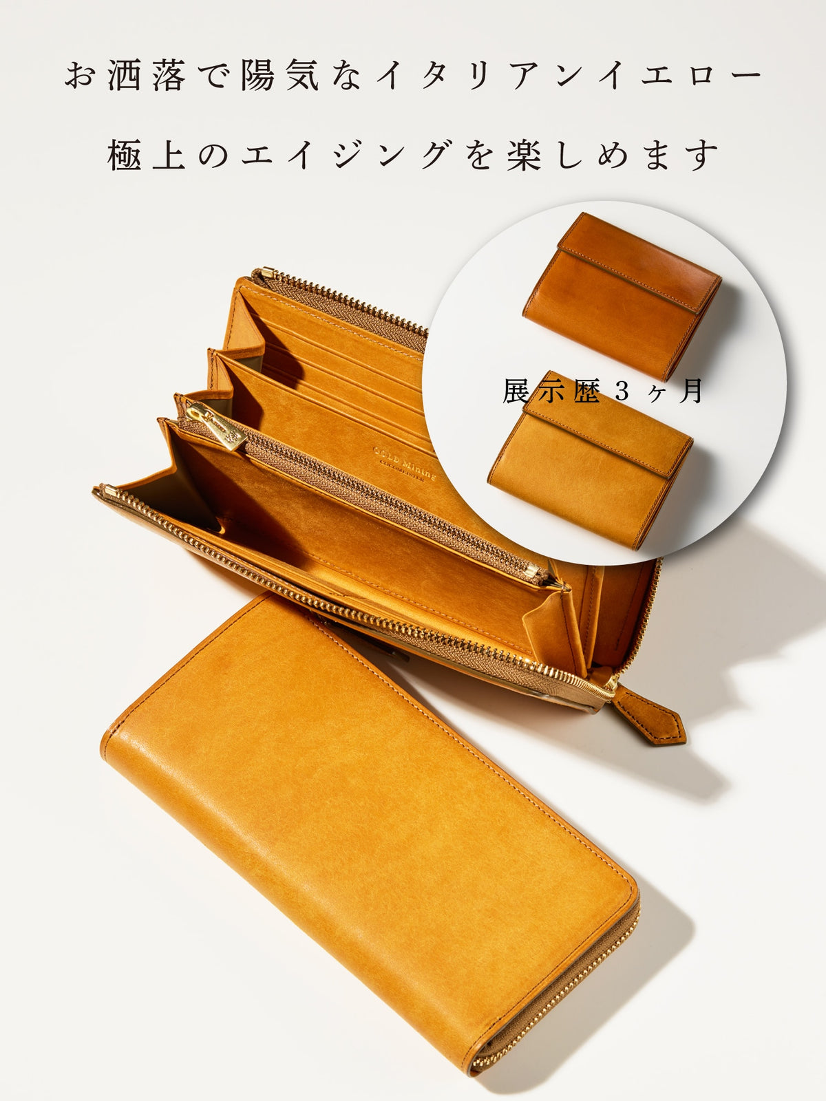 ゴールドマイニング マグネティックドラム 10